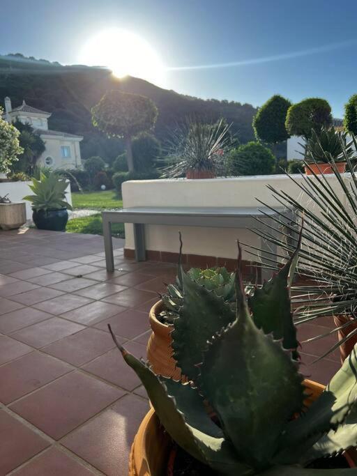 Ruim Appartement, Zonnig Terras, Alhaurin Golf! Альхаурин-эль-Гранде Экстерьер фото